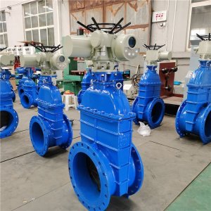 電動(dòng)閘閥Z941h -64 DN500（石化行業(yè)、煉油廠