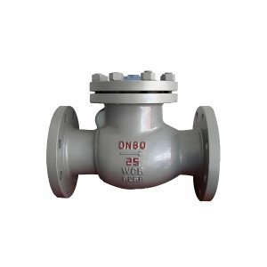 DN50 PN25 介質(zhì)：甲胺，溫度：80℃止回閥